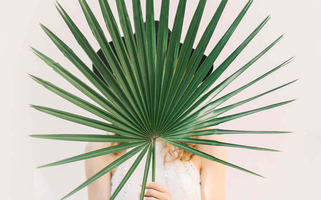 今週のイチオシ情報